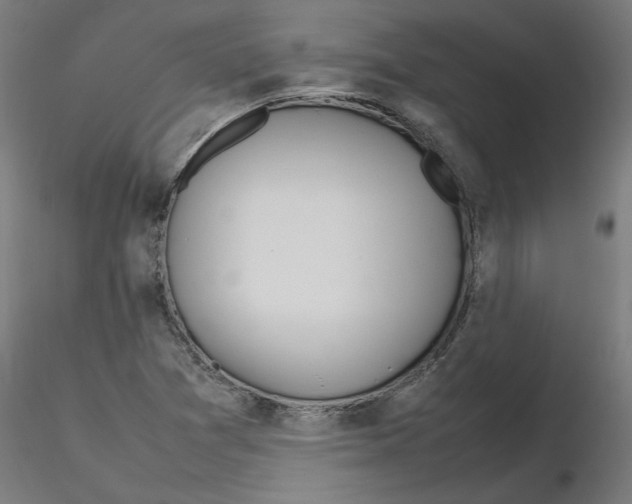 X0000116101361200912211602