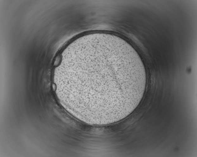 X0000116101364200912211602