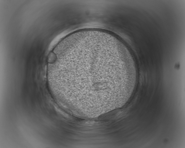 X0000116101366200912211602