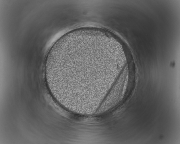 X0000116101367200912211602