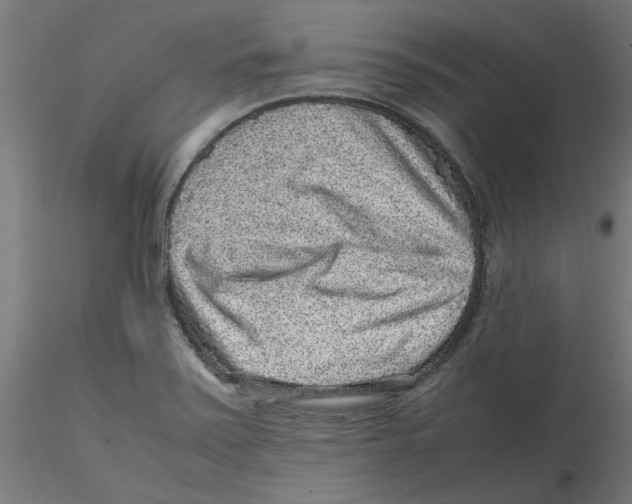 X0000116101371200912211602