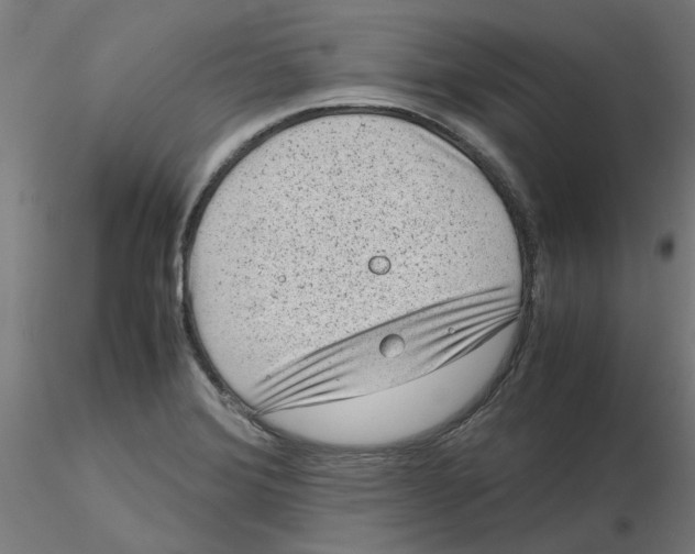 X0000116101372200912211602