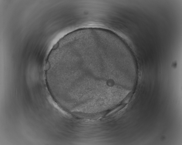 X0000116101374200912211602