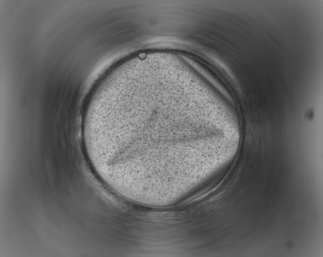 X0000116101376200912211602