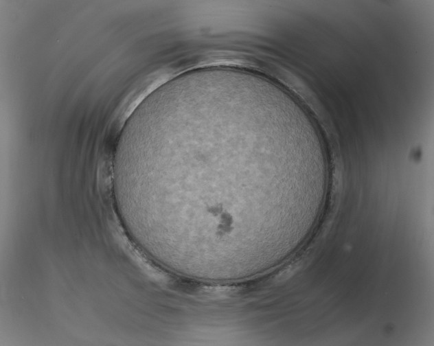 X0000116101377200912211602