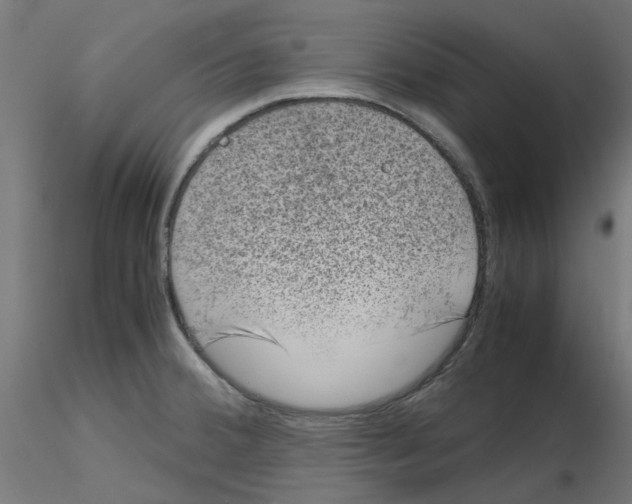 X0000116101380200912211602