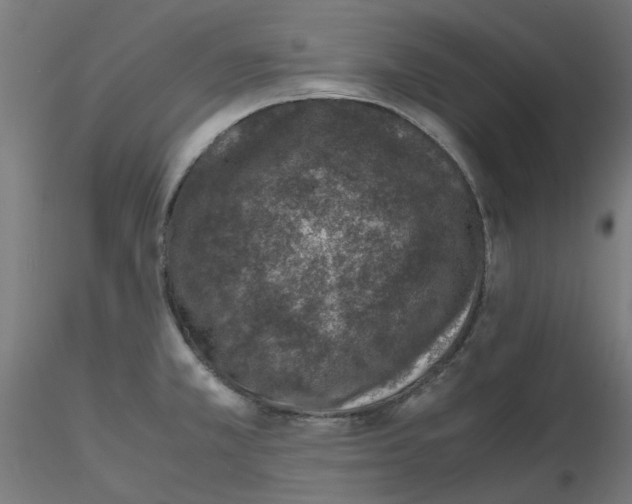 X0000116101381200912211602