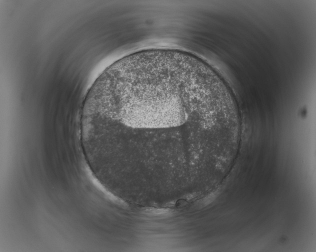 X0000116101382200912211602