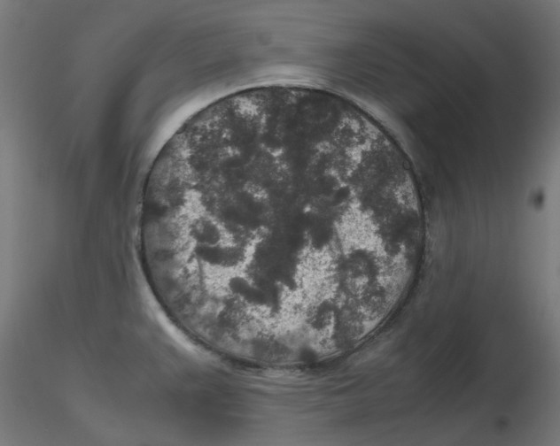 X0000116101383200912211602