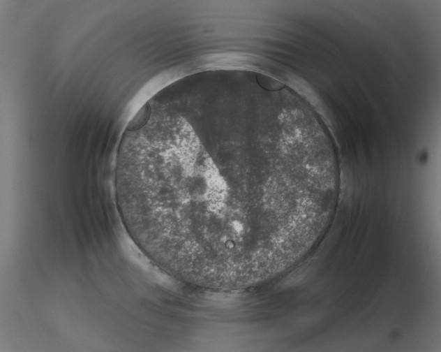 X0000116101386200912211602