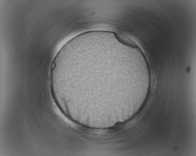 X0000116101387200912211602