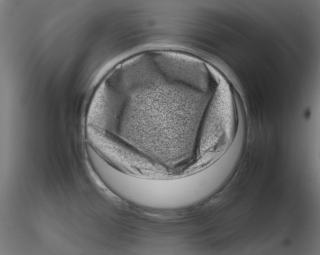 X0000116101388200912211602