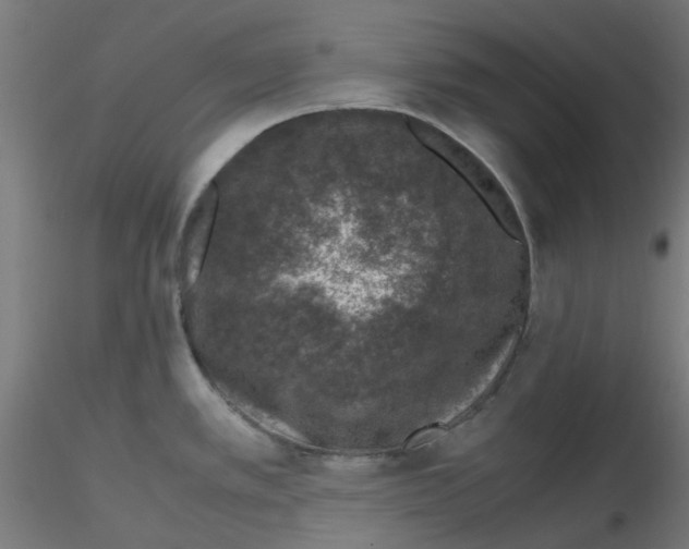 X0000116101389200912211602