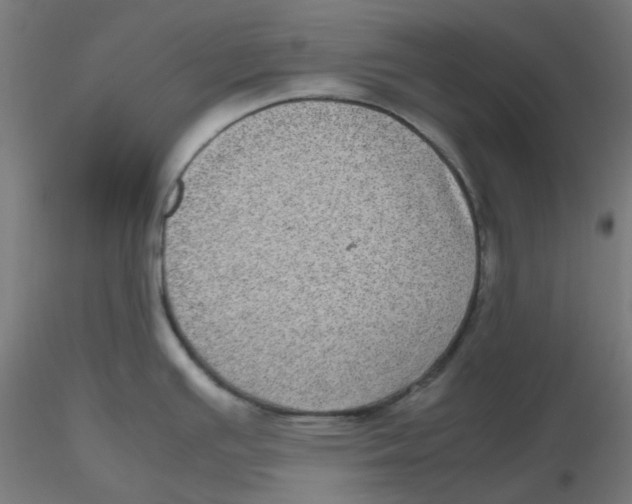 X0000116101391200912211602