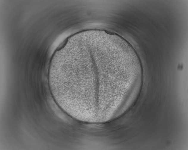 X0000116101392200912211602