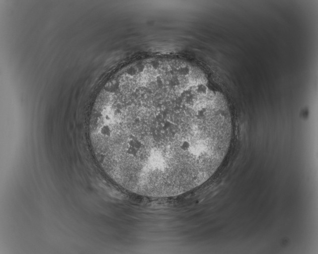 X0000116101393200912211601