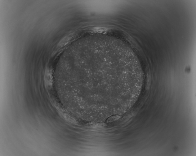 X0000116101394200912211601