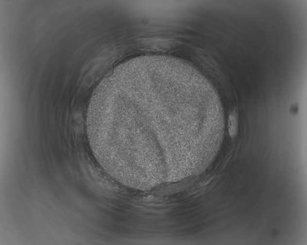 X0000116101395200912211601