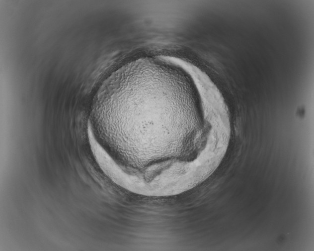 X0000116101396200912211601