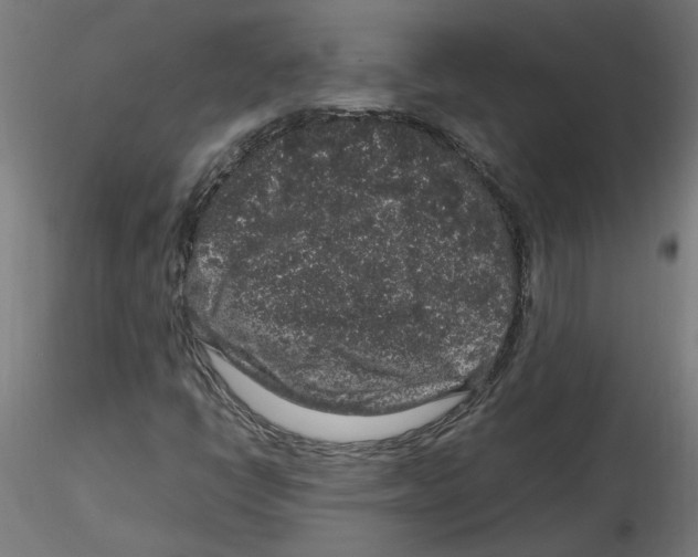 X0000116101398200912211601