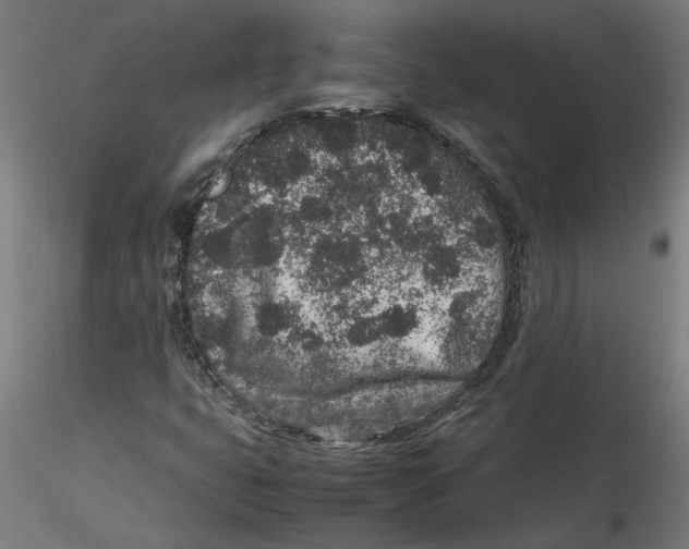 X0000116101399200912211601