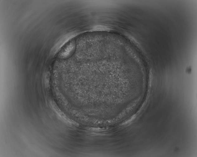 X0000116101401200912211601