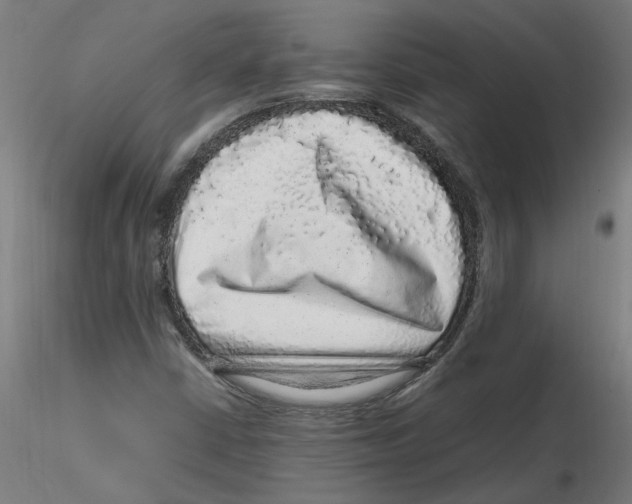 X0000116101402200912211602