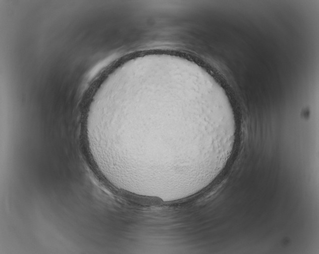 X0000116101406200912211602