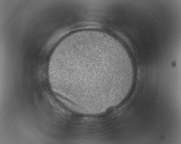 X0000116101407200912211602