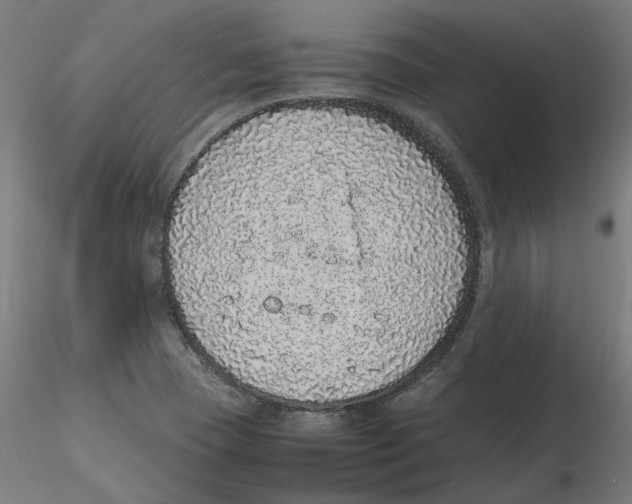 X0000116101409200912211602