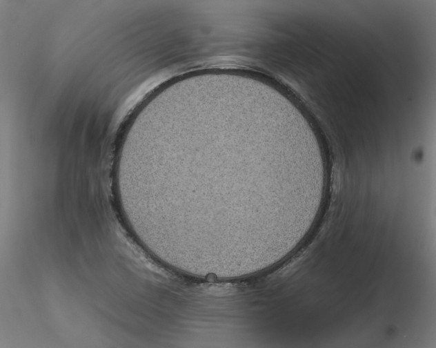 X0000116101410200912211602