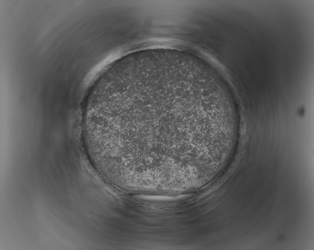 X0000116101411200912211602