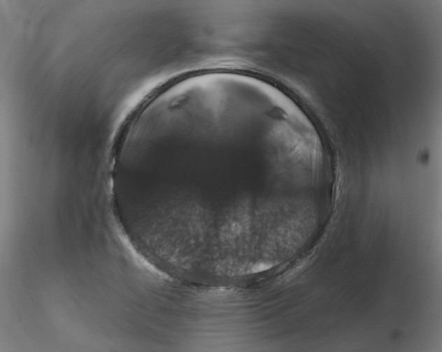 X0000116101414200912211602