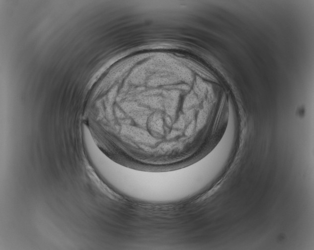 X0000116101417200912211602