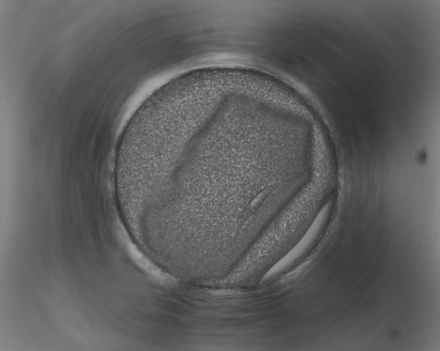 X0000116101421200912211602