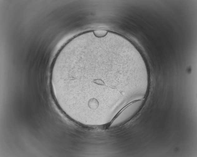 X0000116101424200912211602