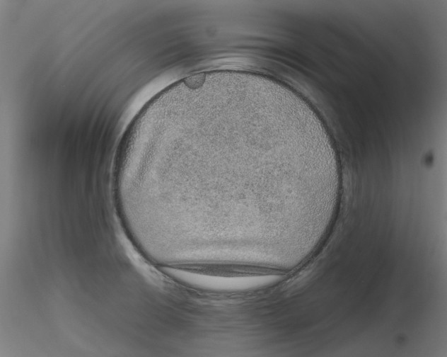 X0000116101426200912211602