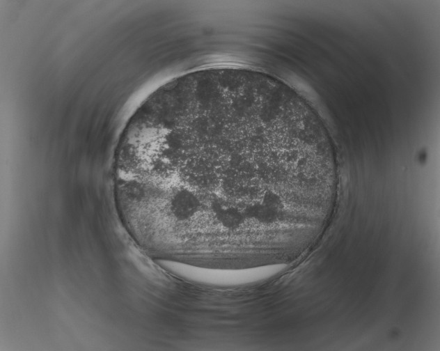 X0000116101427200912211602