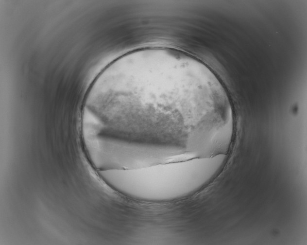 X0000116101428200912211602