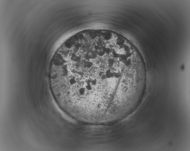 X0000116101429200912211602