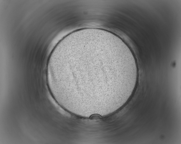 X0000116101432200912211602