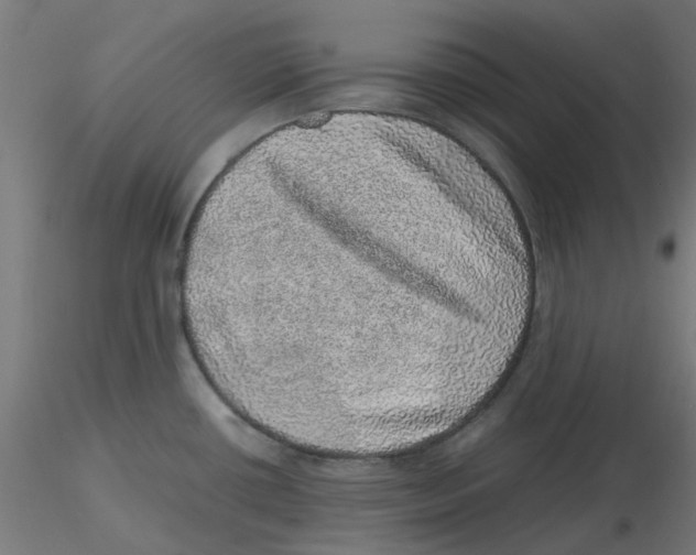 X0000116101434200912211602