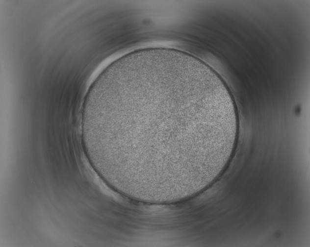 X0000116101436200912211602