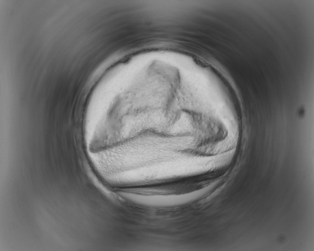 X0000116101437200912211602