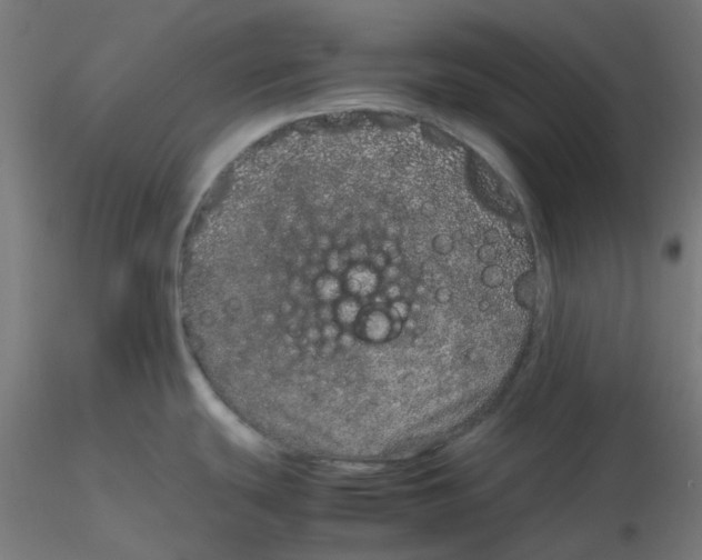 X0000116101439200912211602