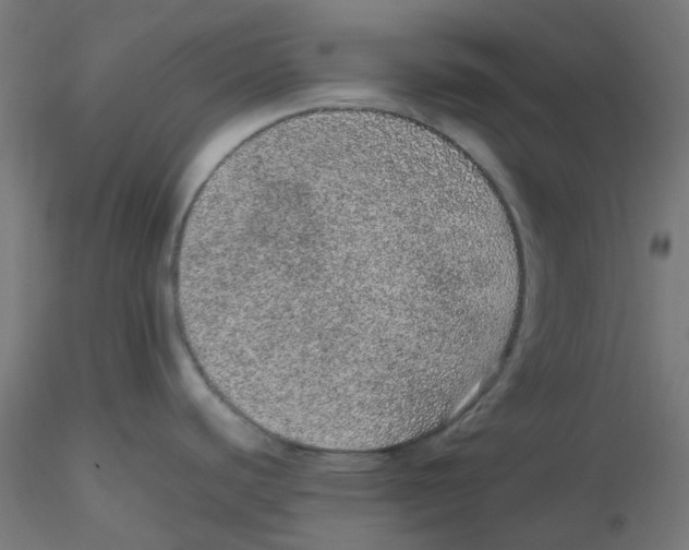 X0000116101440200912211602