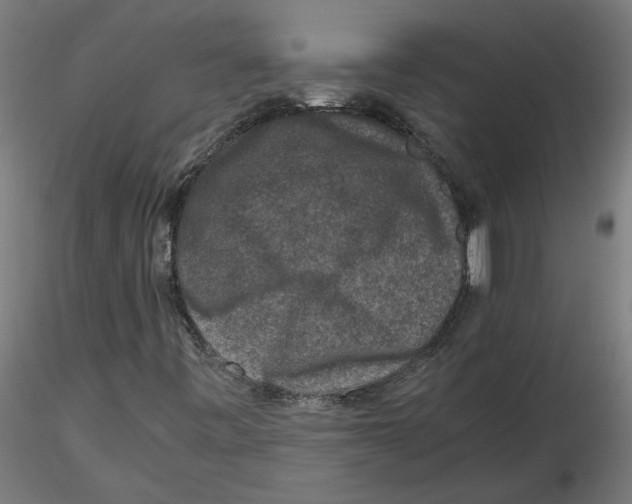 X0000116101443200912211601