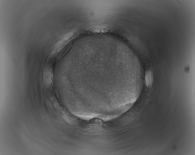 X0000116101444200912211601