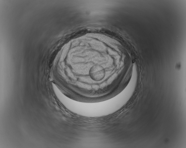 X0000116101445200912211601