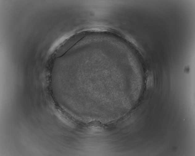 X0000116101448200912211601